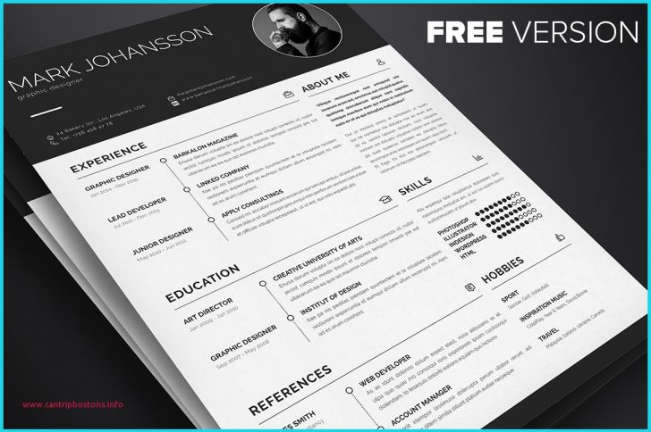 Permalink to Inspirational Free Resume Template Indesign